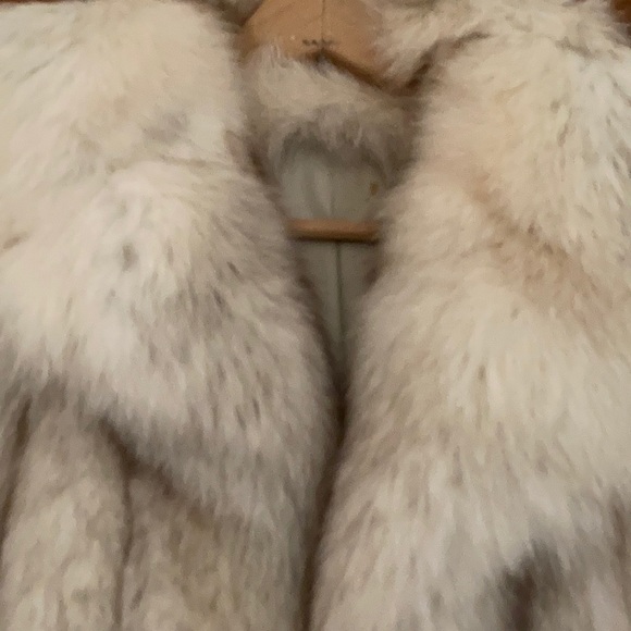 Silver Fox Coat - Picture 3 of 16